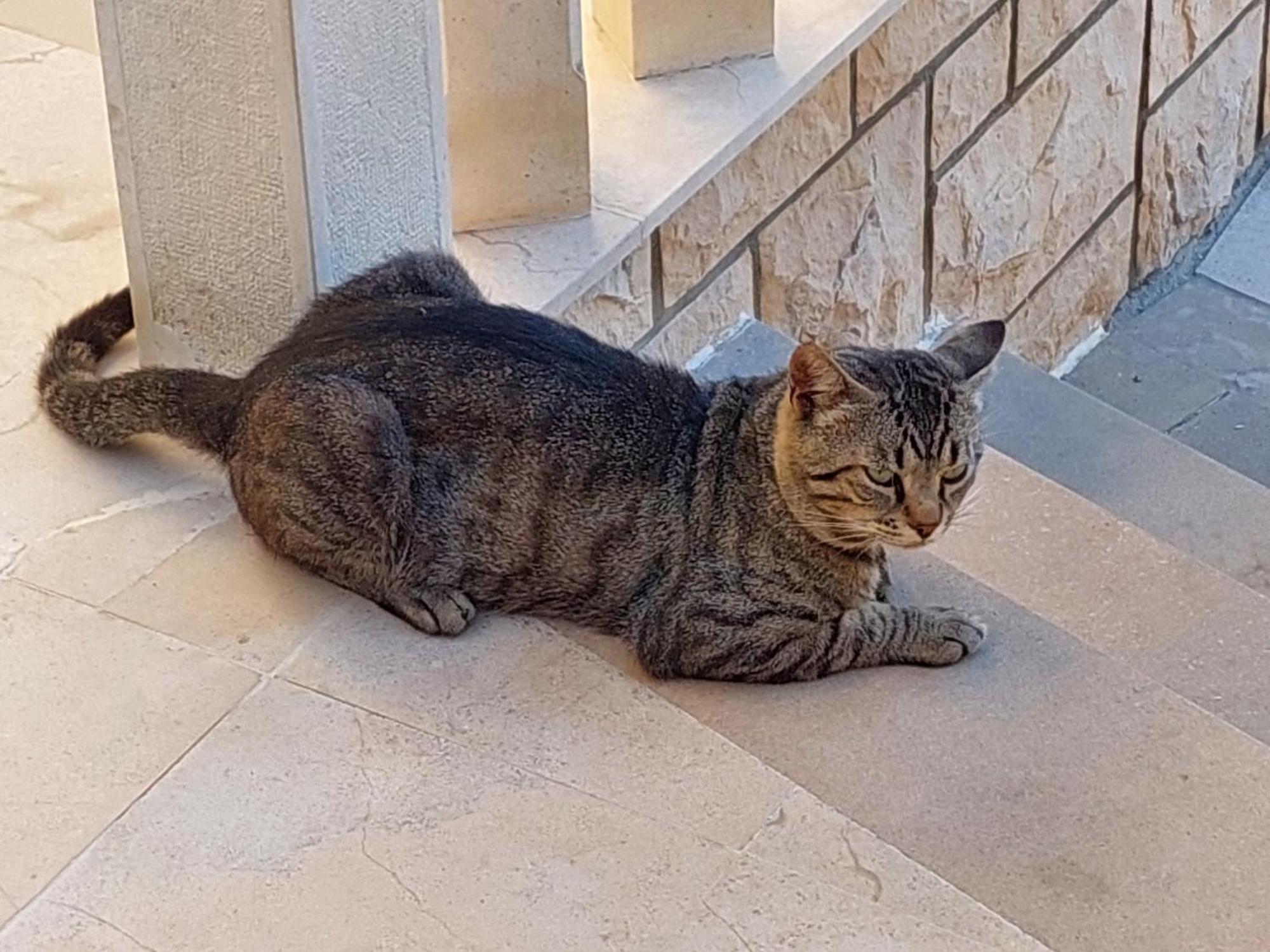 Vila Luka هفار المظهر الخارجي الصورة